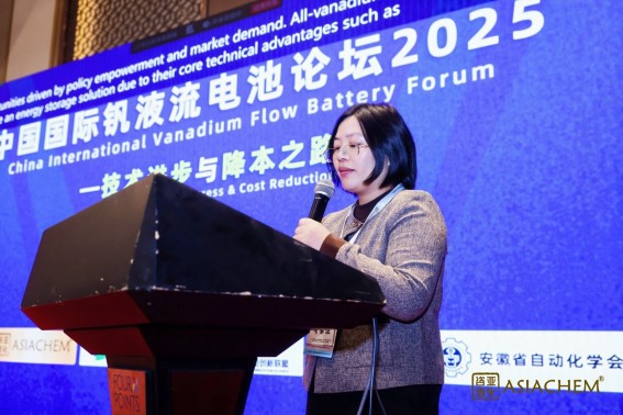 1766131696922929.jpg 3.jpg