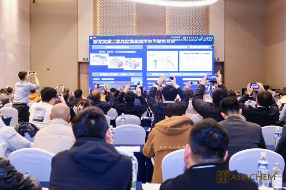 1766131782631217.jpg 6.jpg